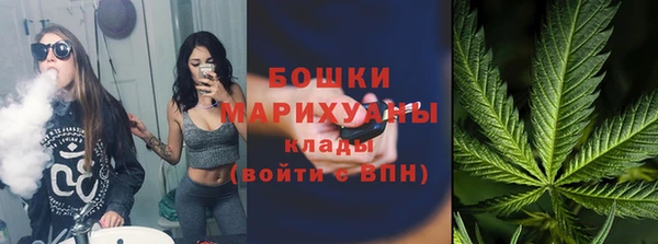 молекула духа Осинники