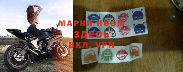 шишки Осташков