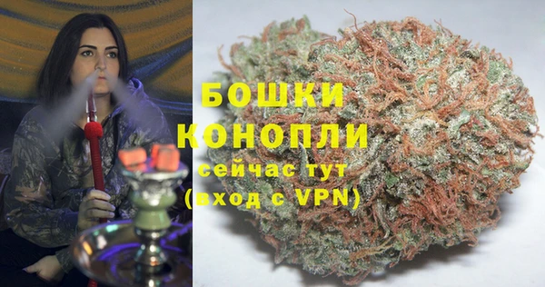 ГАЛЛЮЦИНОГЕННЫЕ ГРИБЫ Остров