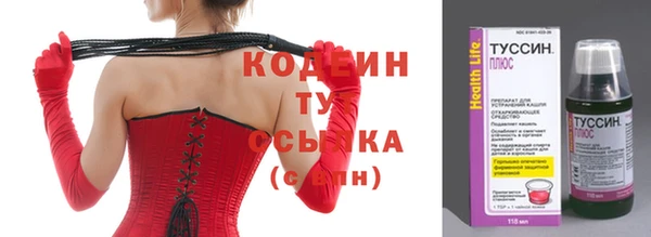 шишки Осташков