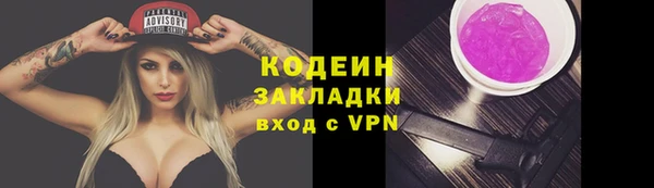 шишки Осташков
