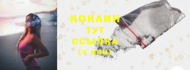 ГАЛЛЮЦИНОГЕННЫЕ ГРИБЫ Остров