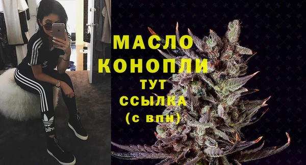 шишки Осташков