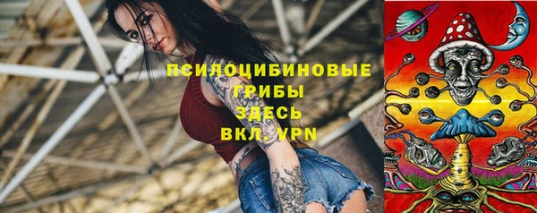 ГАЛЛЮЦИНОГЕННЫЕ ГРИБЫ Остров