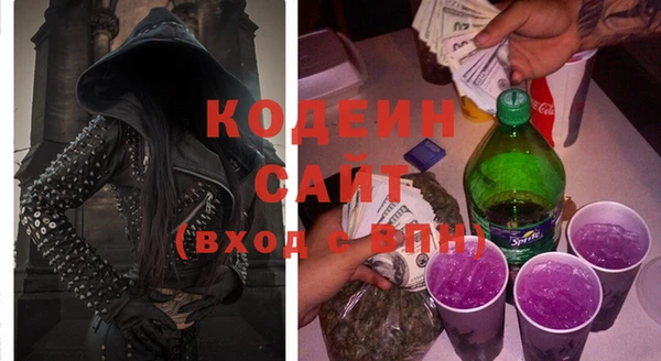 шишки Осташков