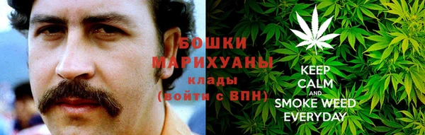 молекула духа Осинники