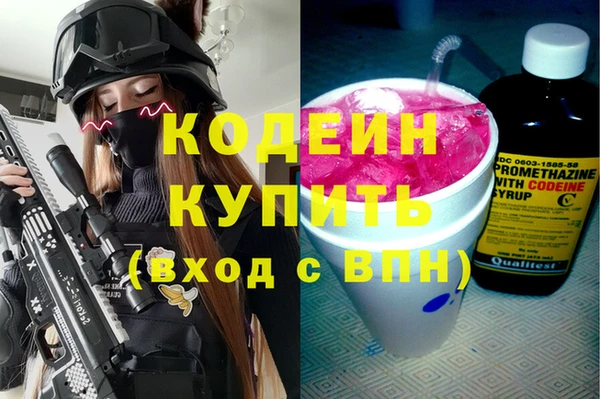 шишки Осташков