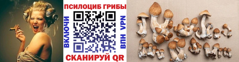 Галлюциногенные грибы мухоморы  Купить закладки  Яхрома 
